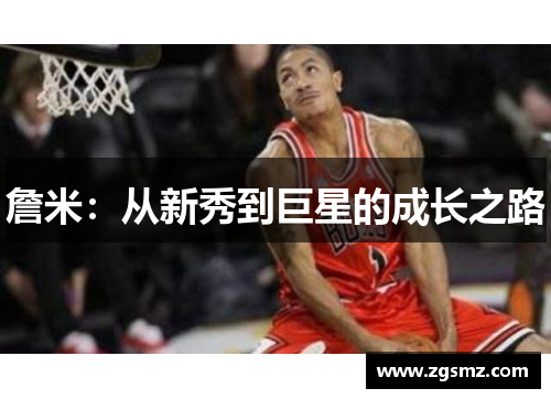 詹米：从新秀到巨星的成长之路