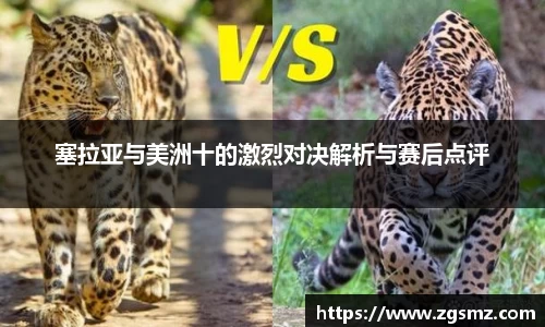 塞拉亚与美洲十的激烈对决解析与赛后点评